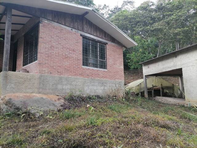 #1 - Quinta para Venta en El Colegio - CUN